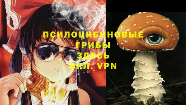 прущий лед Дмитриев