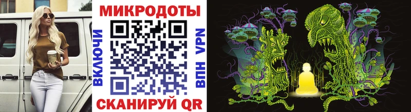 Галлюциногенные грибы Cubensis  Купить закладки  Холм 